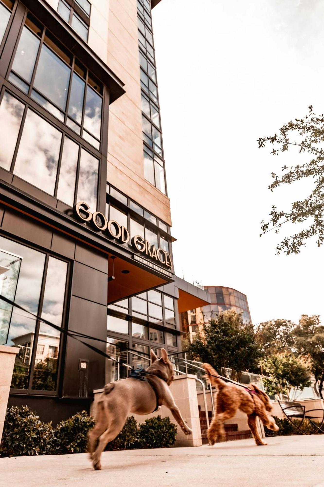 Marriott Dallas Uptown Εξωτερικό φωτογραφία